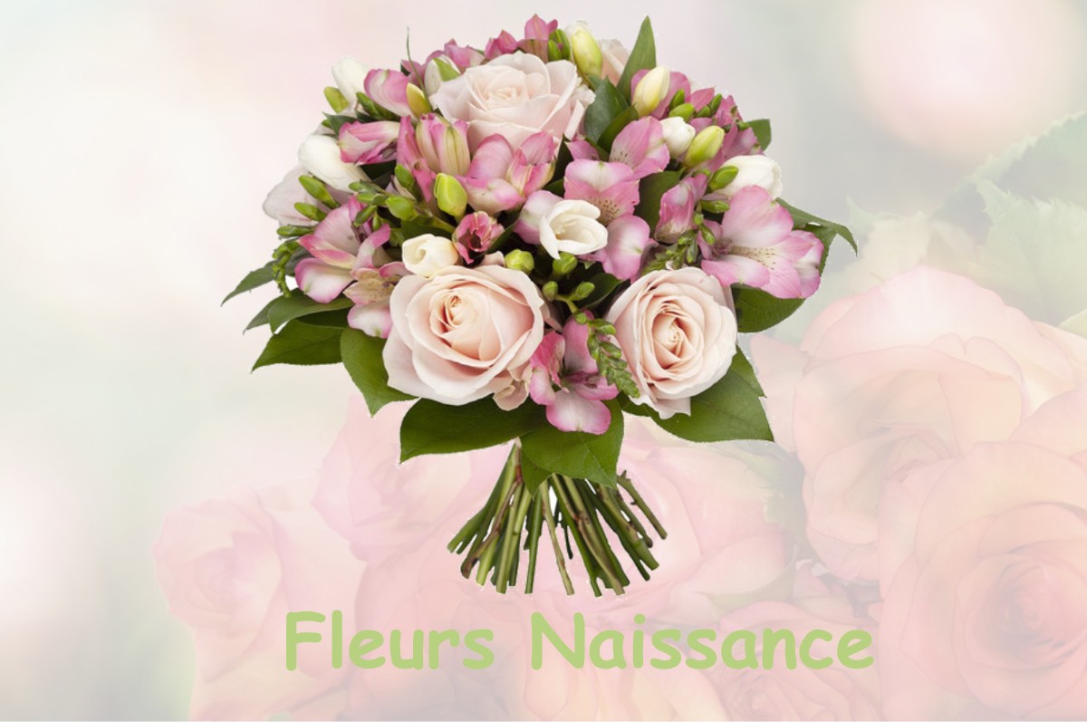 fleurs naissance BAZOCHES-LES-GALLERANDES