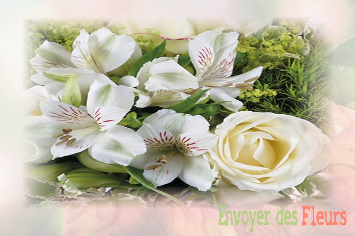 envoyer des fleurs à à BAZOCHES-LES-GALLERANDES