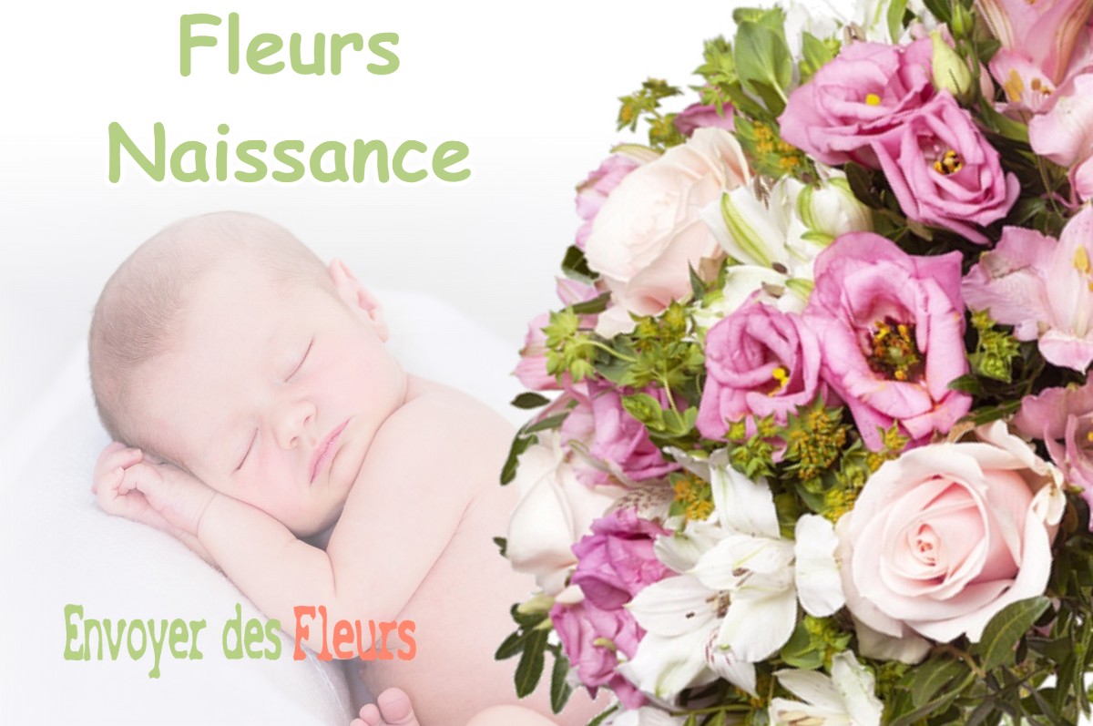 lIVRAISON FLEURS NAISSANCE à BAZOCHES-LES-GALLERANDES